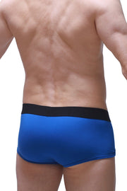Boxer Morrier Blue