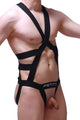 Jock Harness Champol