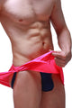 Loincloth Bee Pink w/ Jockstrap