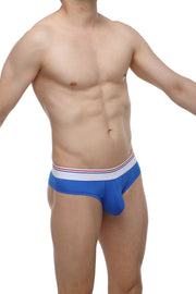 Mini Boxer Plum Blue